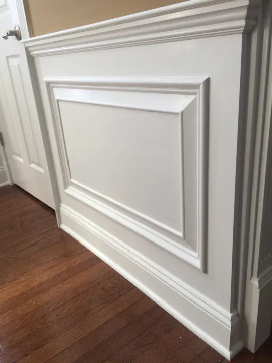 Wainscoting raised panel